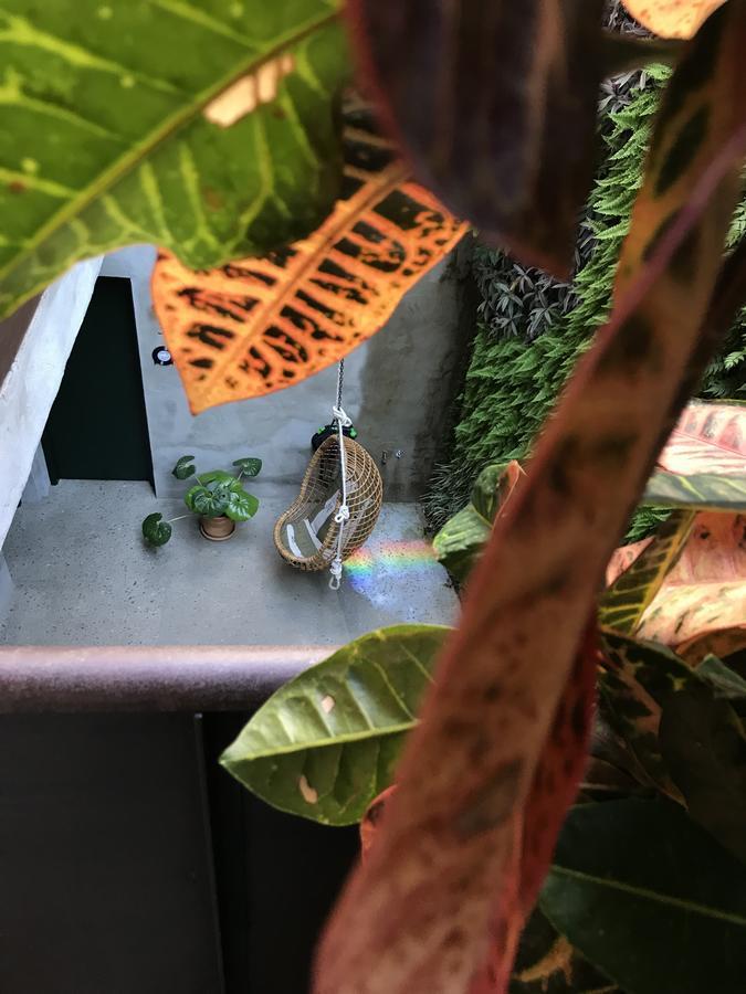 Kook Hotel 타리파 외부 사진
